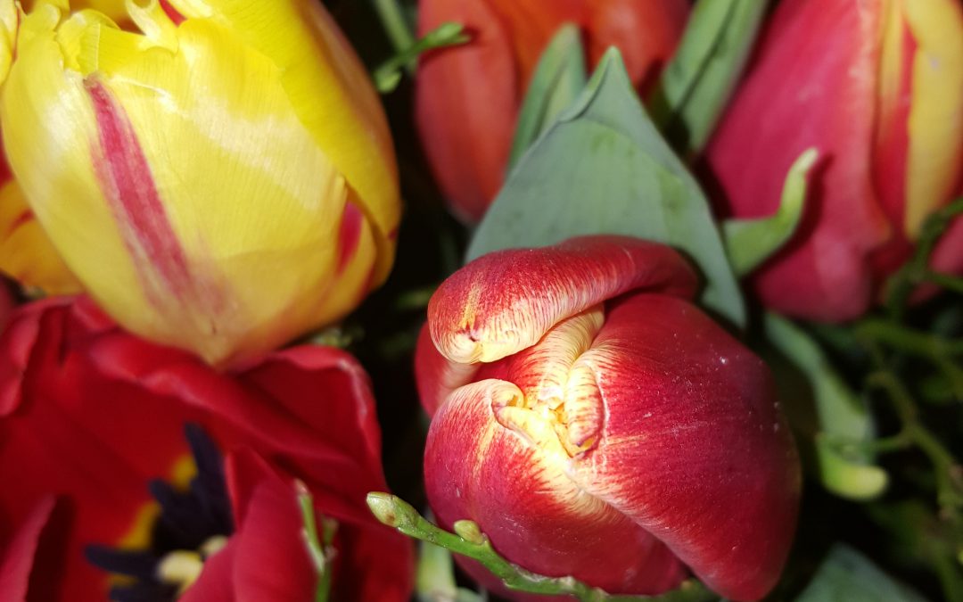 ElternCafe´- Valentinstag in der Elternwerkstatt, 9h-11h