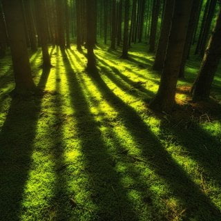Gedanken Philospohie